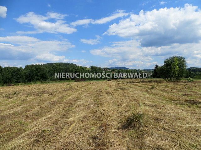 Działka budowlana Barwałd Dolny
