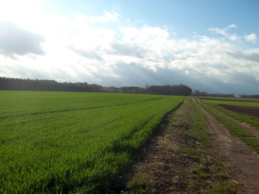 Działka przemysłowa Długołęka