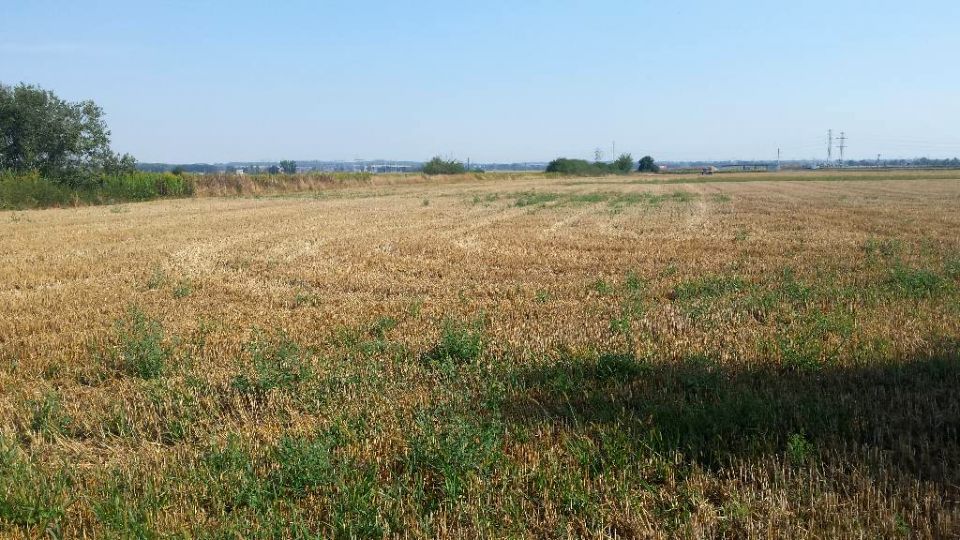 Działka rolna Pasikurowice
