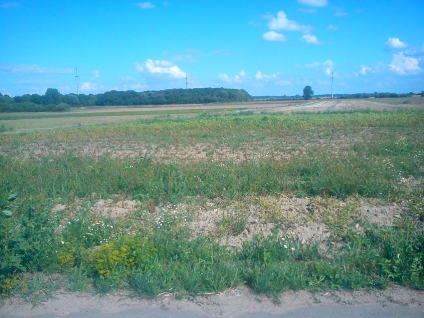 Działka rolna Długołęka