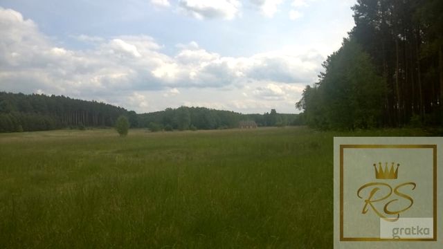 Działka siedliskowa Pąchy