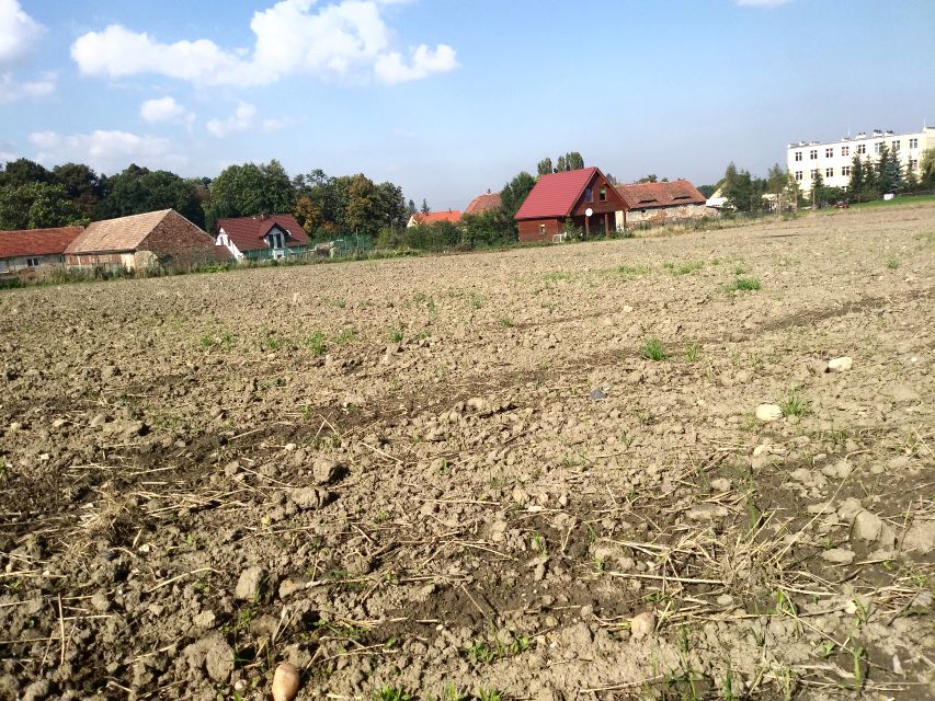 Działka budowlana Mokrzeszów
