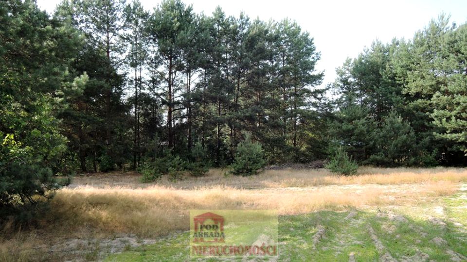 Działka rekreacyjna Kępa Niemojewska