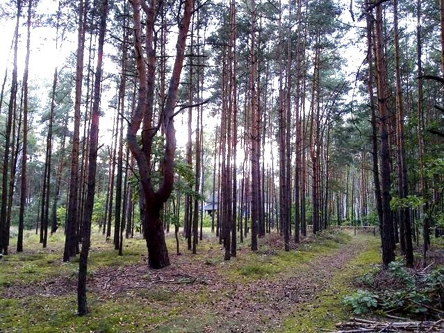 Działka budowlana Warszawa