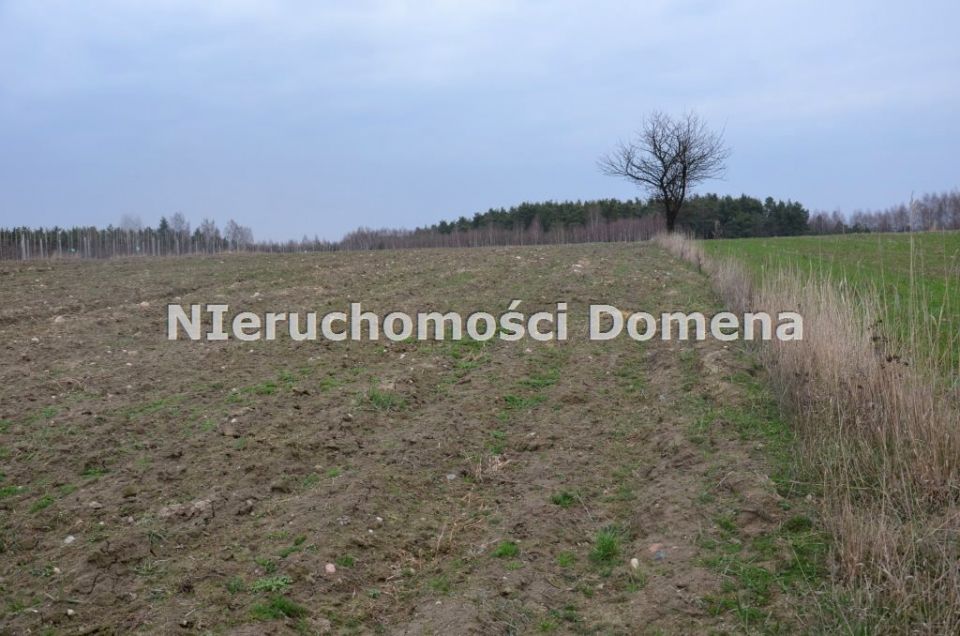 Pusta działka Rokszyce