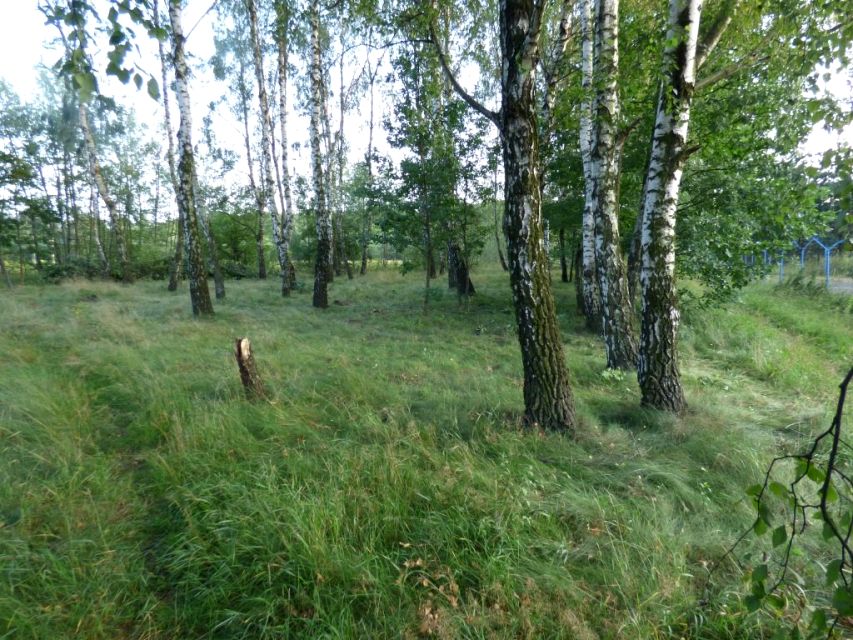 Ogrodzona działka Łódź