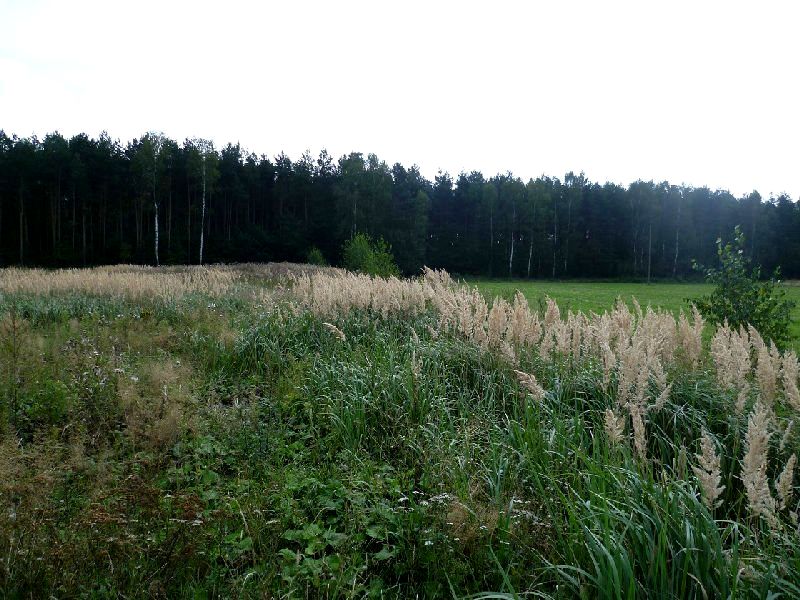 Działka Joachimów-Mogiły