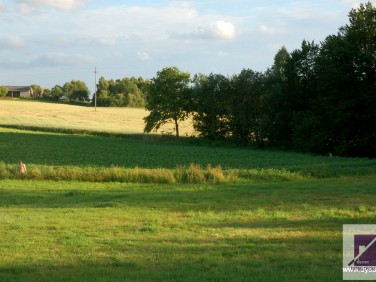 Działka inna Głazica sprzedam