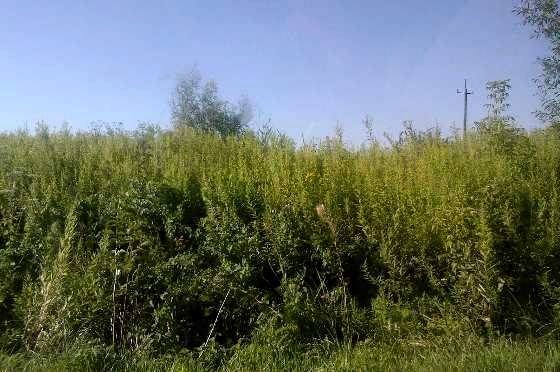 Działka budowlana Warszawa sprzedam