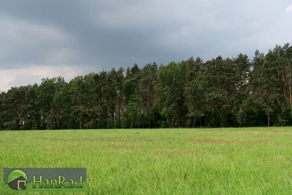 Działka Trzcielin