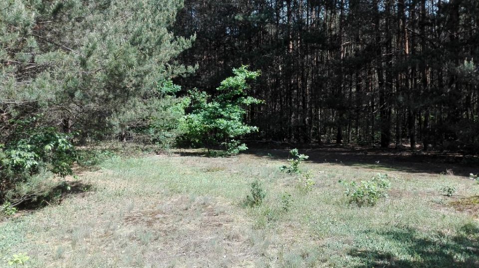 Działka rekreacyjna Cyganówka
