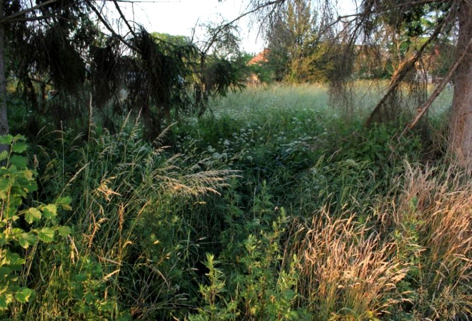 Działka budowlana Opole sprzedam