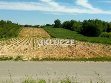 Działka budowlana Dąbrowica