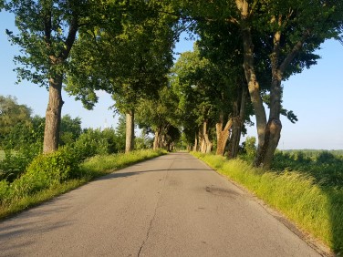 Działka rolna Chruściel