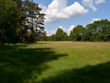 Działka Tabor Mały