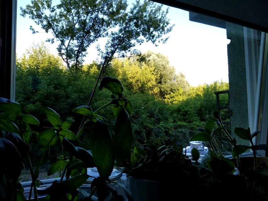 Mieszkanie blok mieszkalny Warszawa