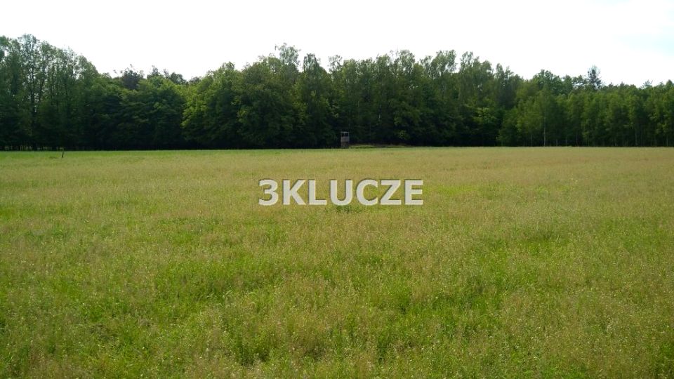 Działka budowlana Majdan Kozłowiecki