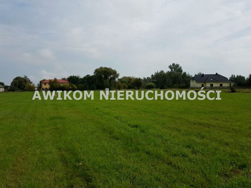 Zdjęcie 3