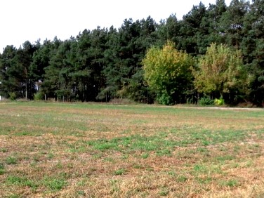 Działka budowlana Ciechocinek