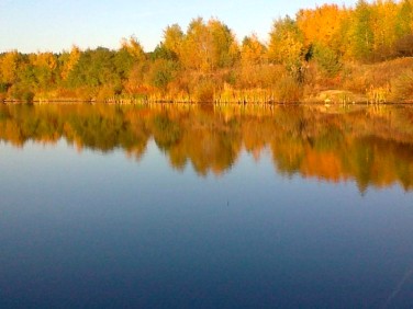 Działka budowlana Skierdy