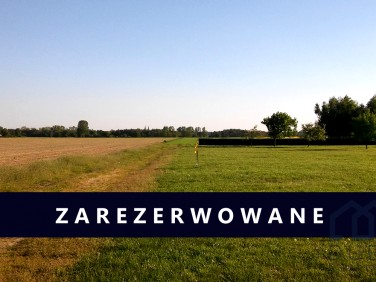 Działka budowlana Kościan