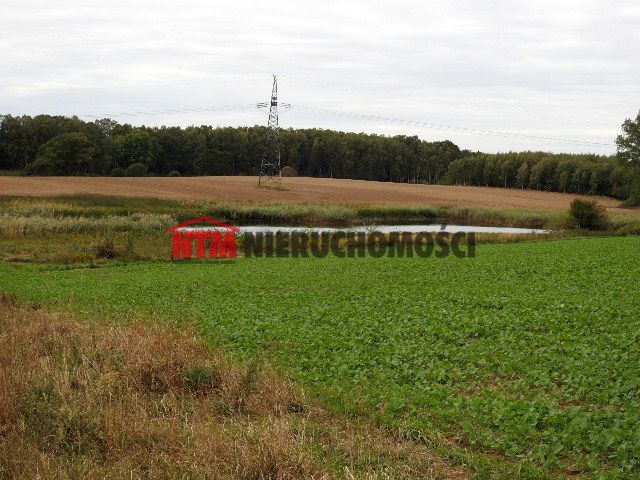Działka rolna Dobrosławiec