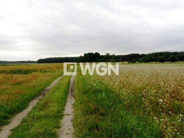 Działka budowlana Zwierzyn sprzedam