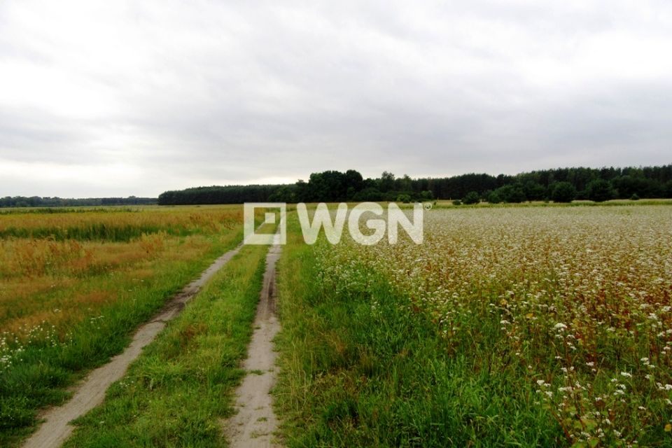 Działka budowlana Zwierzyn sprzedam