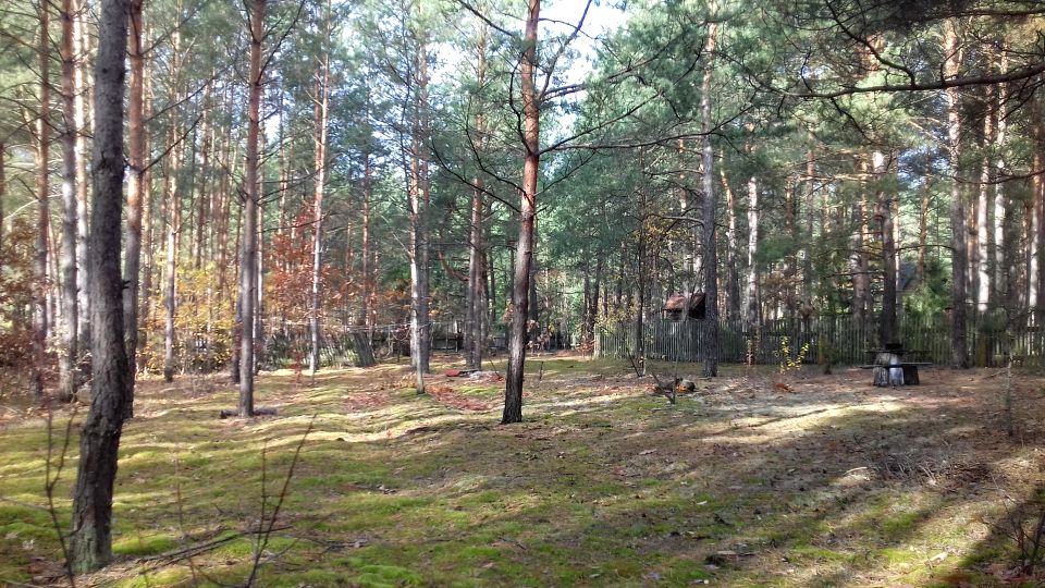Działka rekreacyjna Cyganówka