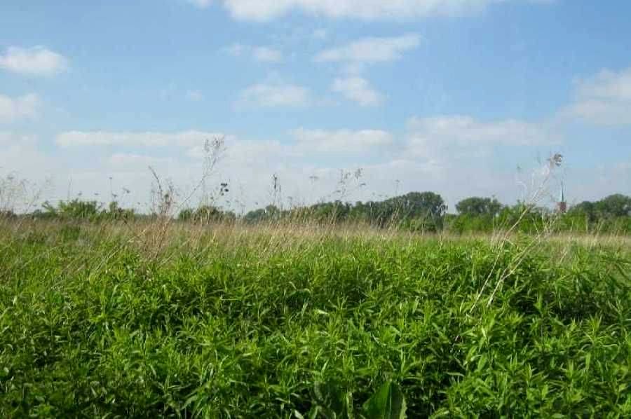 Działka budowlana Warszawa