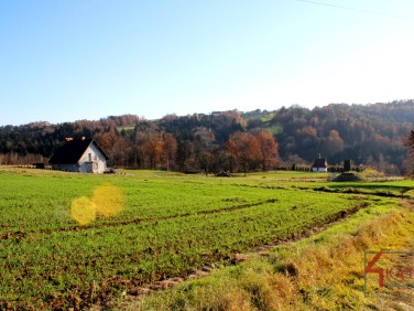 Działka budowlana Łapanów