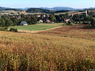 Działka budowlana Wałbrzych