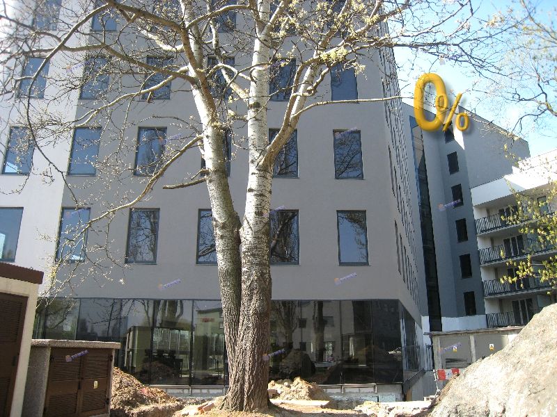 Lokal Warszawa