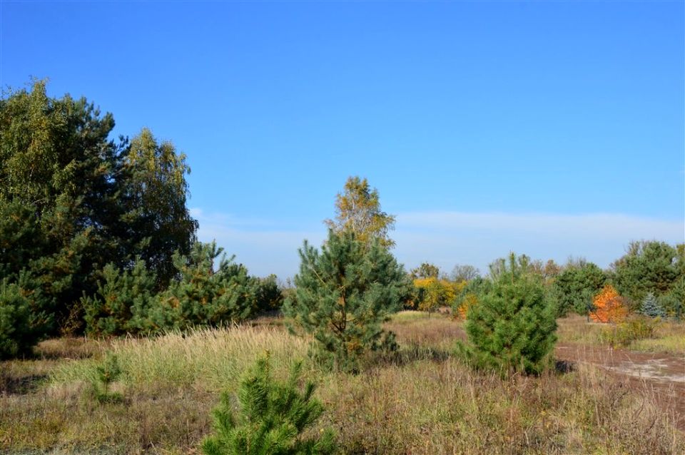 Działka budowlana Grądy