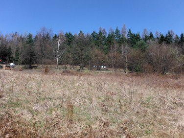 Działka budowlana Rudnik