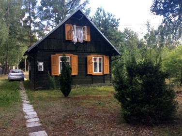 Dom Trzcianka