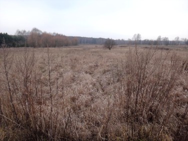 Działka budowlana Dąbrowa Górnicza sprzedam