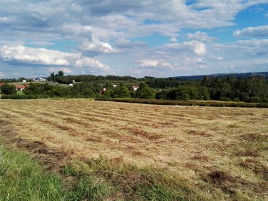 Działka rolna Kraczkowa