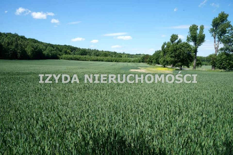 Zdjęcie 3