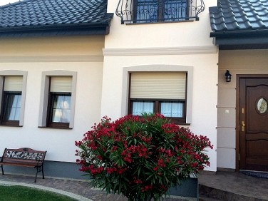 Dom Oleśnica sprzedaż