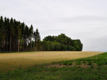 Działka inna Cewlino