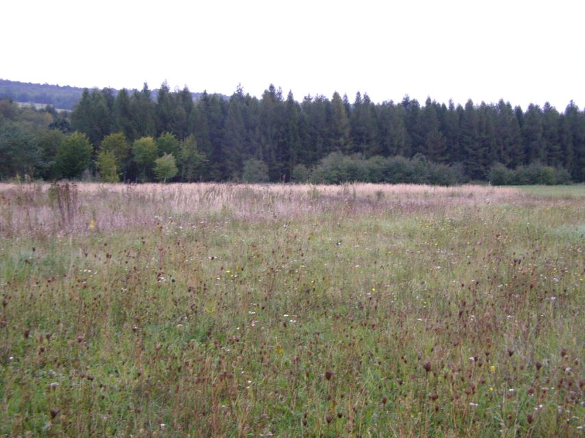 Działka budowlana Huwniki