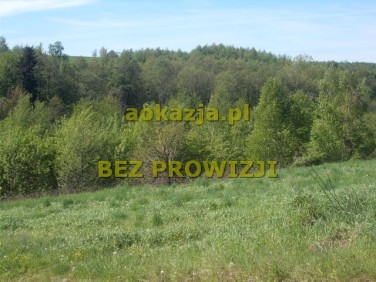 Działka rolna Zagorzyce
