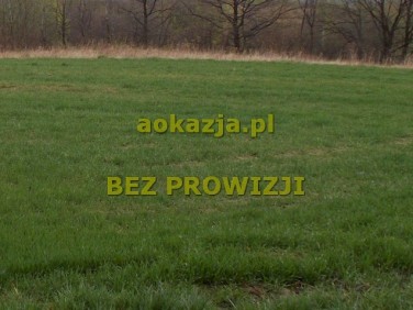 Działka rolna Bączałka