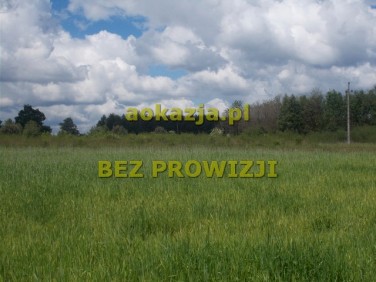 Działka rolna Boreczek