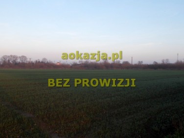 Działka rolna Przecław