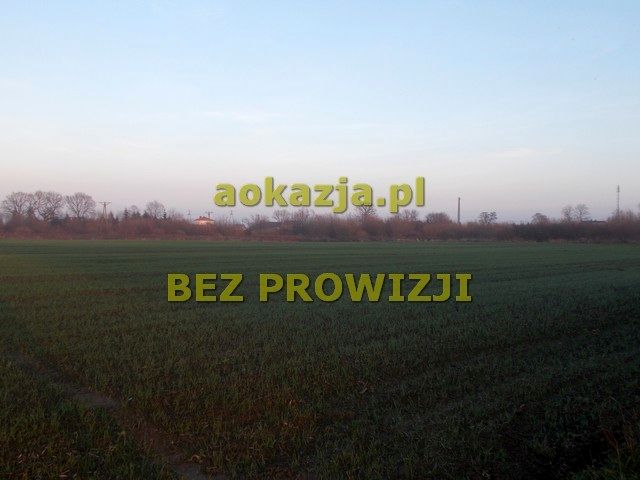 Działka rolna Przecław