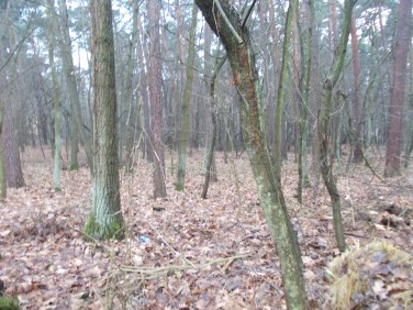 Działka budowlana Konstancin-Jeziorna