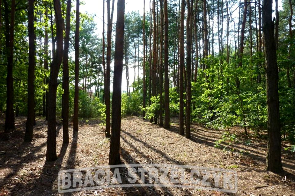Działka leśna Długa Szlachecka