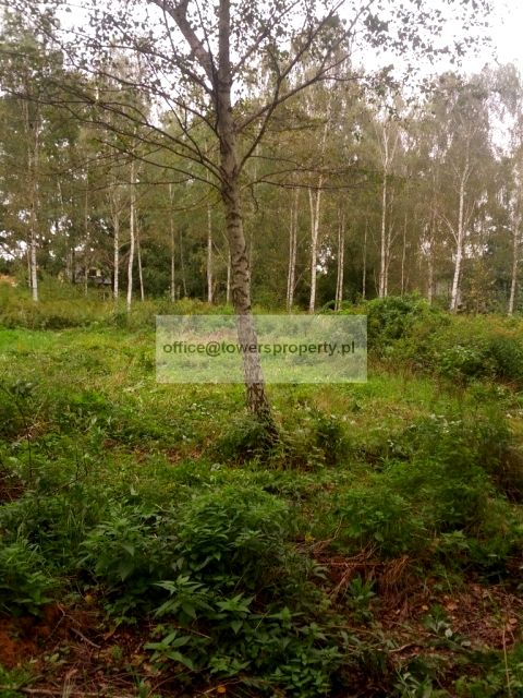 Działka budowlana Warszawa